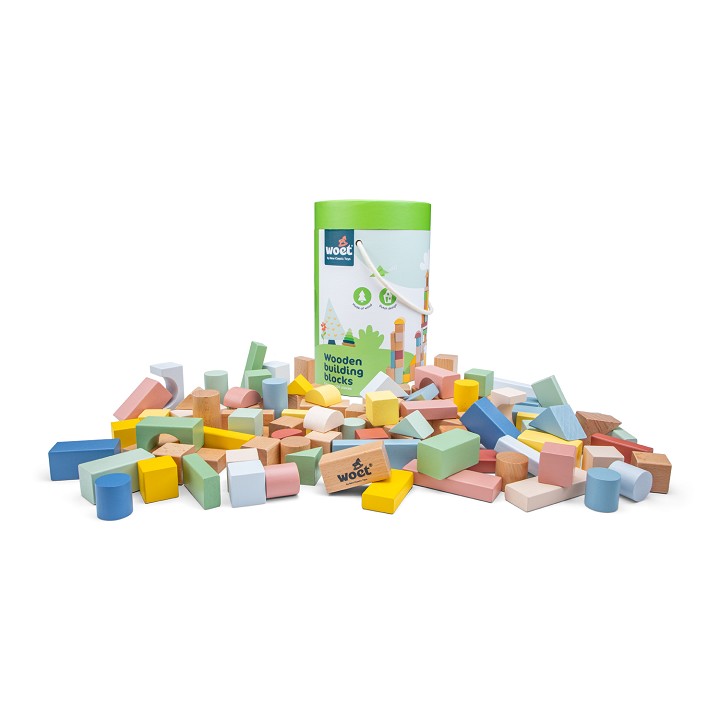 Bouw blokken - 100 stuks